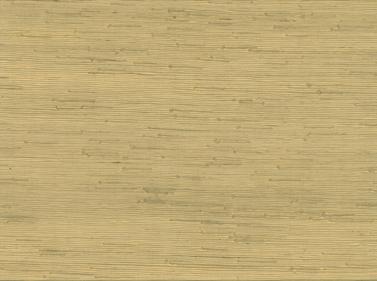 Advantage Shan Light Green Grasscloth Wallpaper, 36-in by 24-ft