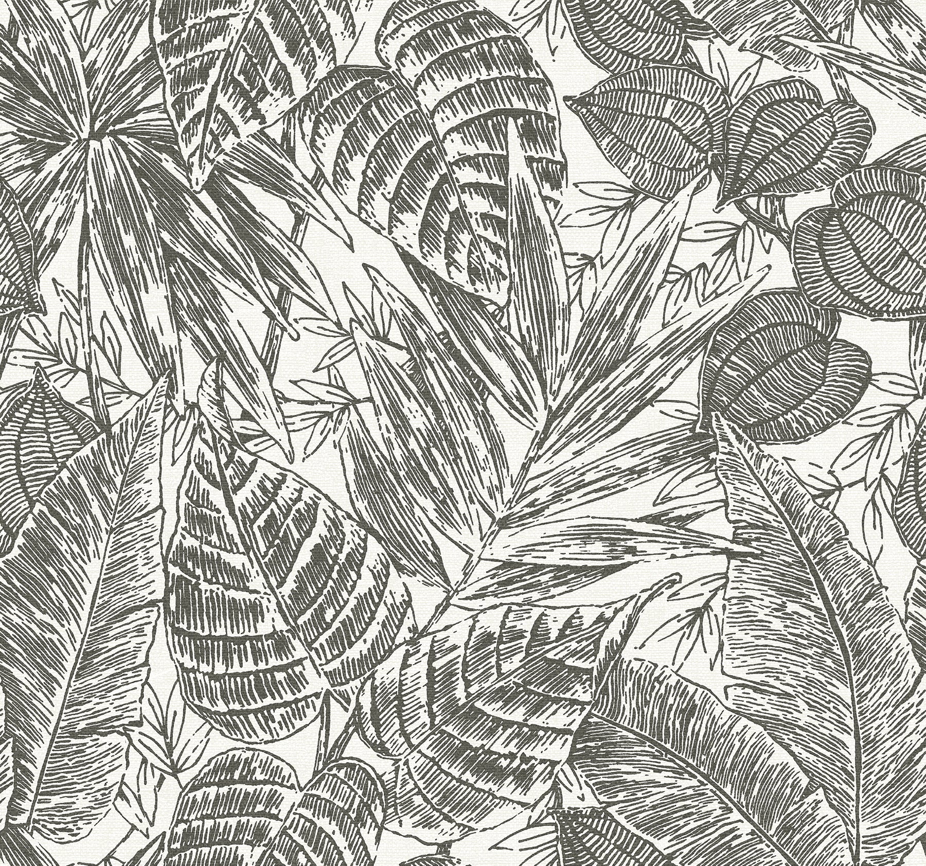 A-Street Prints Brentwood Black Palm Leaves Wallpaper, 27-in by 27-ft