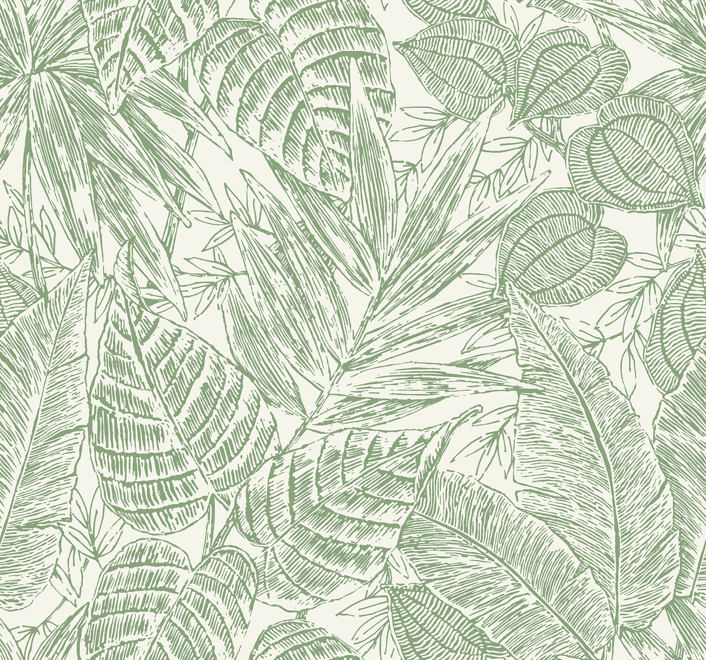 A-Street Prints Brentwood Green Palm Leaves Wallpaper, 27-in by 27-ft