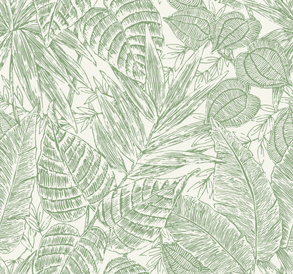 A-Street Prints Brentwood Green Palm Leaves Wallpaper, 27-in by 27-ft