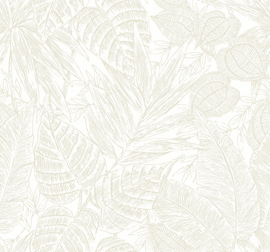 A-Street Prints Brentwood Bone Palm Leaves Wallpaper, 27-in by 27-ft