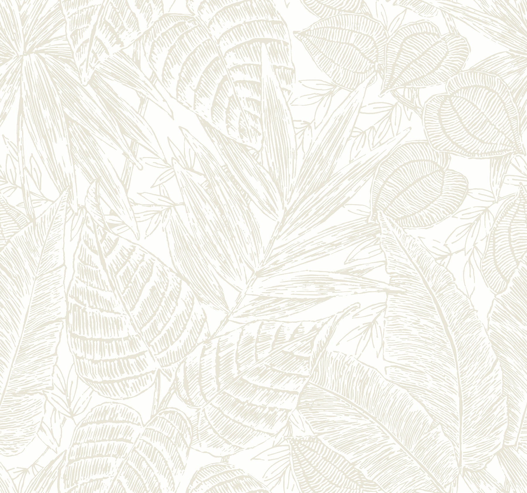 A-Street Prints Brentwood Bone Palm Leaves Wallpaper, 27-in by 27-ft