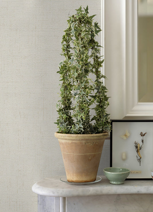 Advantage Ayala Off White Distressed Wallpaper, 20.9-in by 33-ft