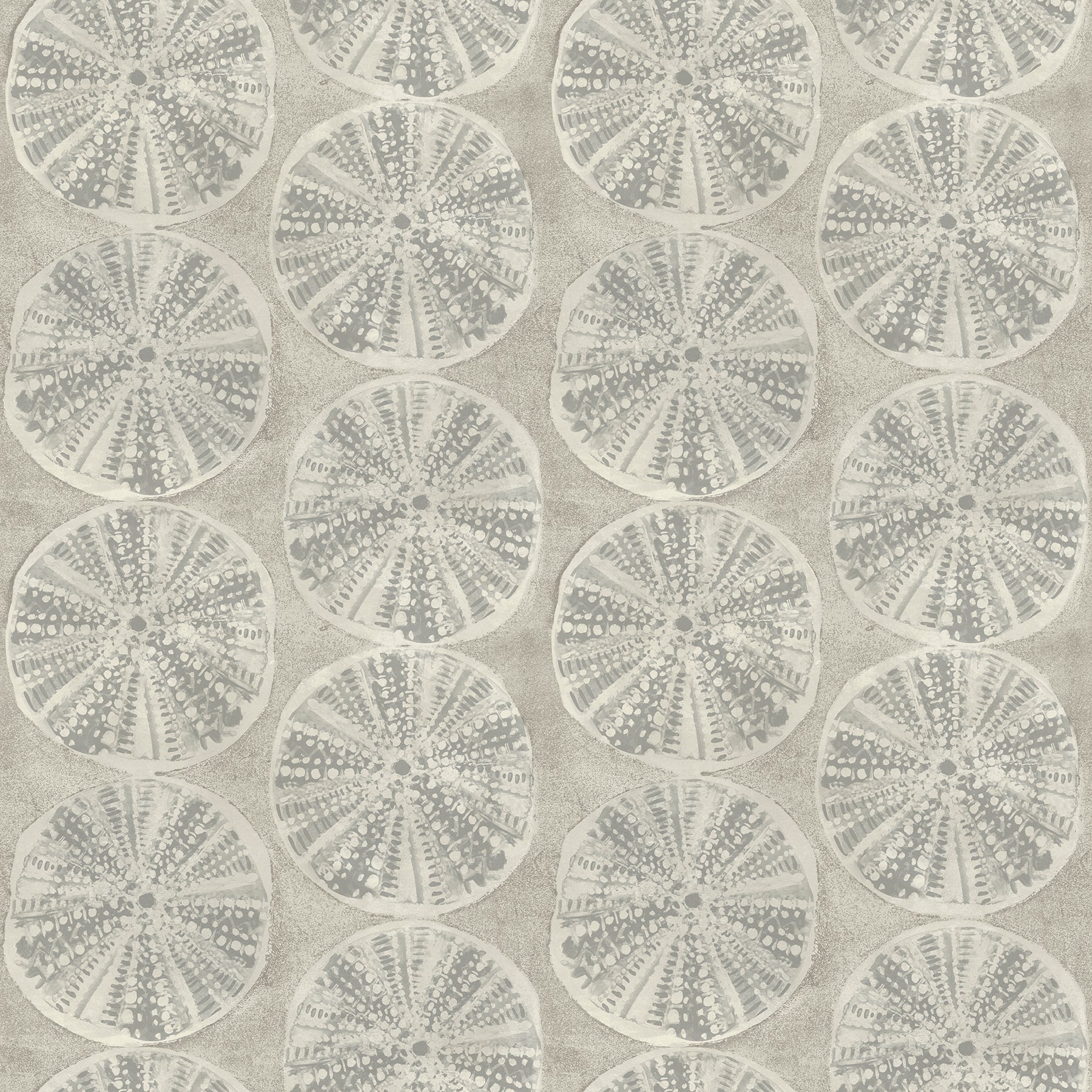 Chesapeake Sea Biscuit Grey Sand Dollar Wallpaper, 20.5-in by 33-ft