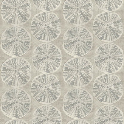 Chesapeake Sea Biscuit Grey Sand Dollar Wallpaper, 20.5-in by 33-ft