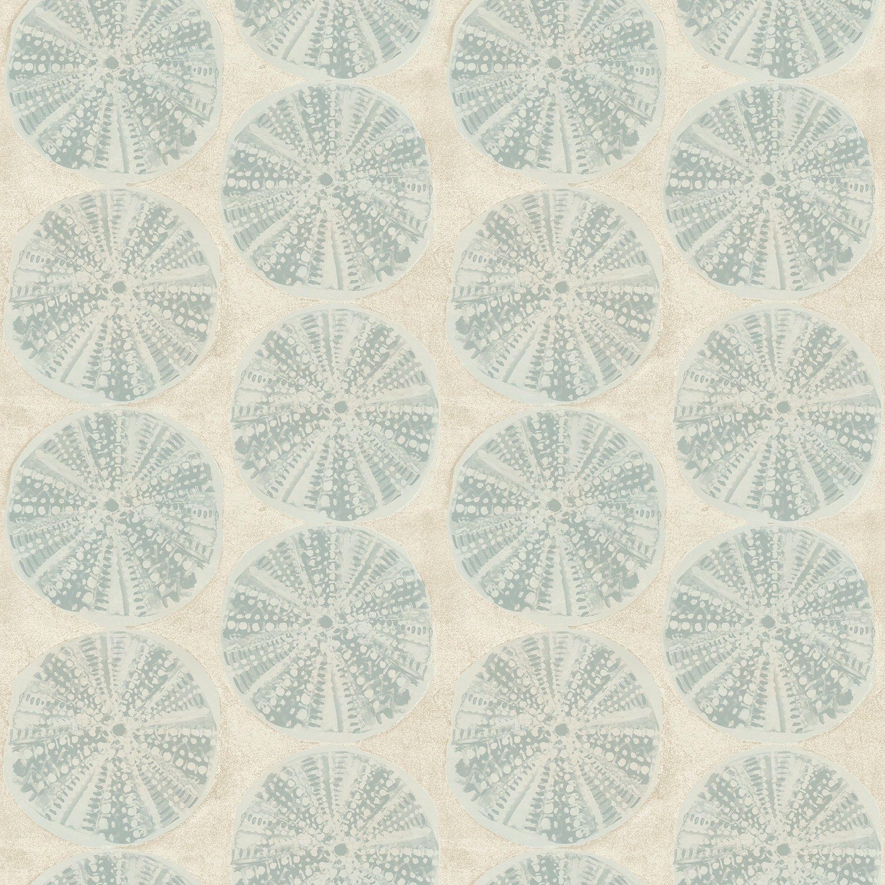 Chesapeake Sea Biscuit Aqua Sand Dollar Wallpaper, 20.5-in by 33-ft