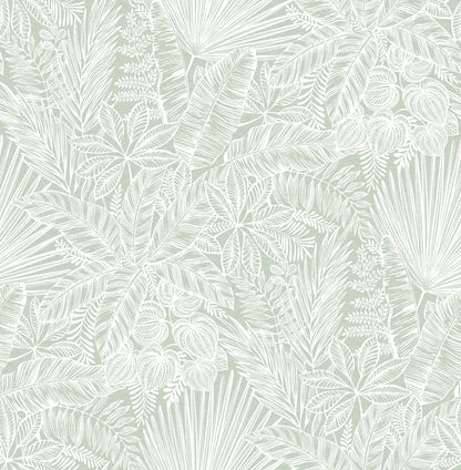 A-Street Prints Vita Sage Botanical Wallpaper, 20.5-in by 33-ft