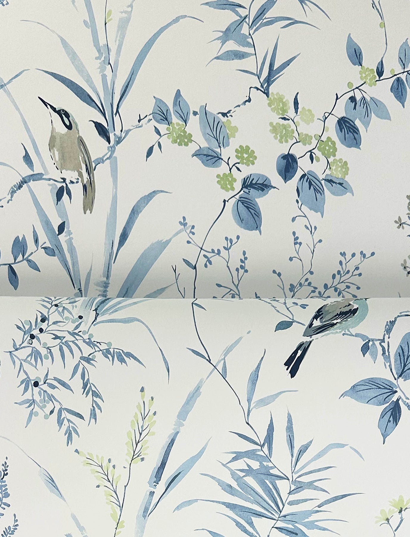 Chesapeake Imperial Garden Blueberry Botanical Wallpaper, 20.5-in by 33-ft