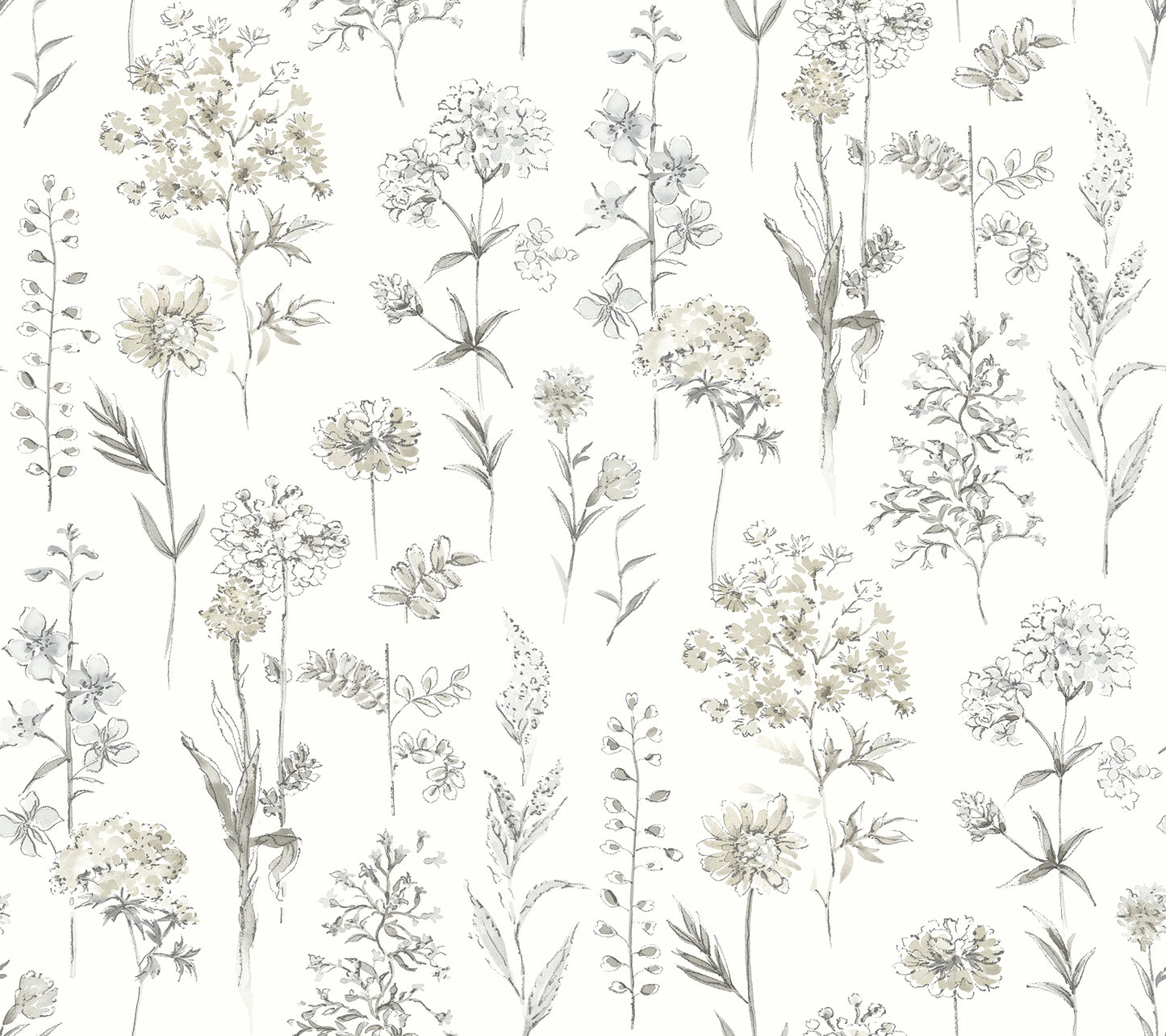 Chesapeake Bergamot Light Grey Wildflower Wallpaper, 27-in by 27-ft