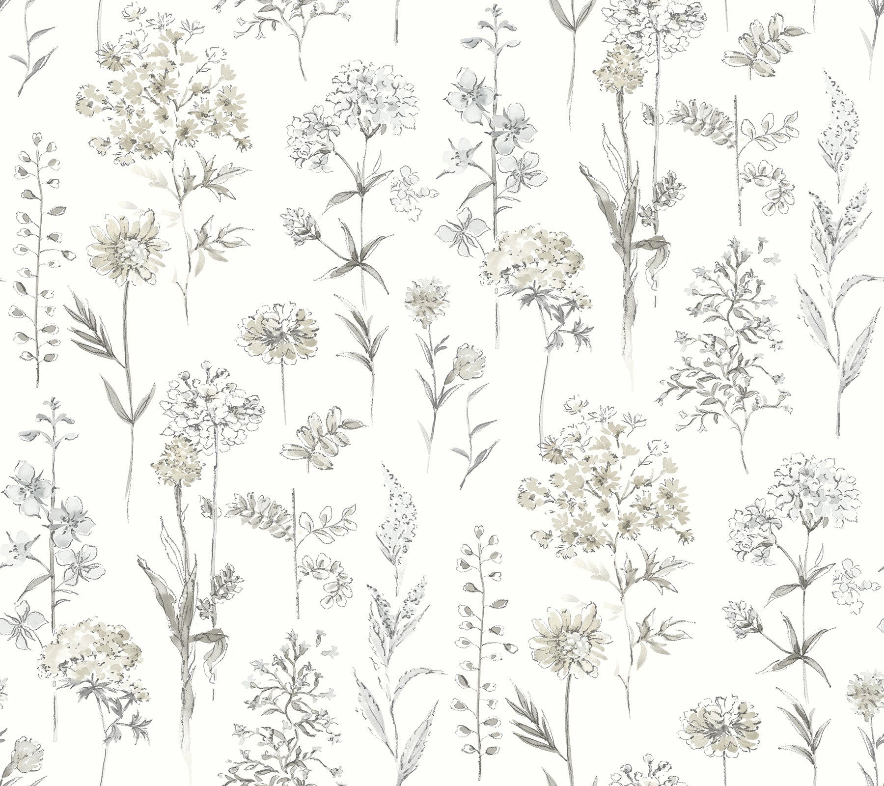 Chesapeake Bergamot Light Grey Wildflower Wallpaper, 27-in by 27-ft