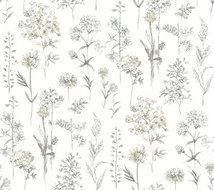 Chesapeake Bergamot Light Grey Wildflower Wallpaper, 27-in by 27-ft