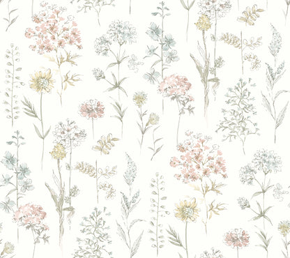 Chesapeake Bergamot Pastel Wildflower Wallpaper, 27-in by 27-ft