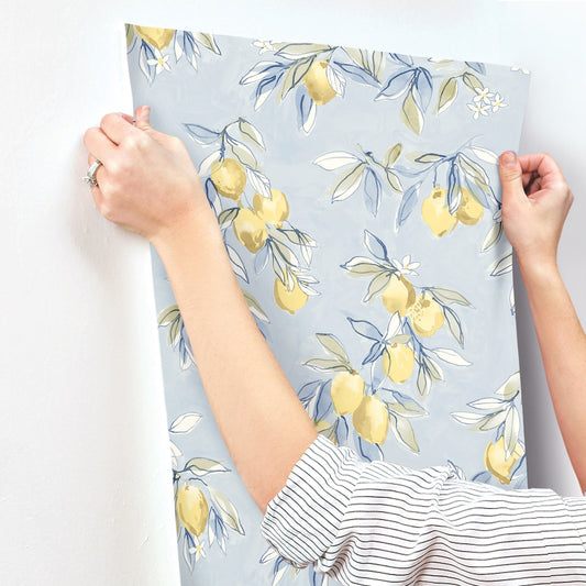 Chesapeake Lemonade Light Blue Citrus Wallpaper, 20.5-in by 33-ft