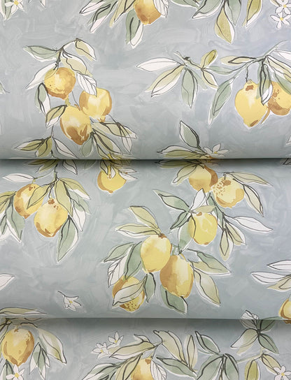 Chesapeake Lemonade Aqua Citrus Wallpaper, 20.5-in by 33-ft