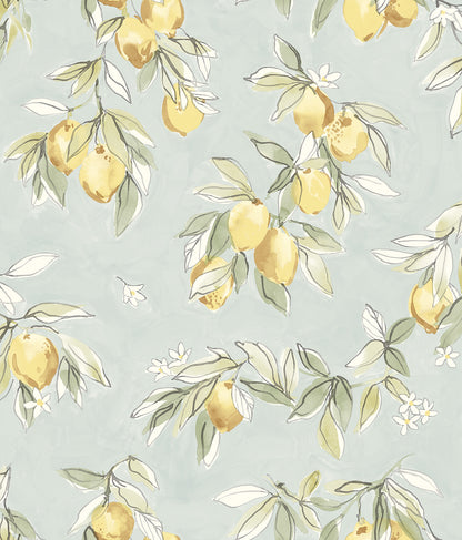 Chesapeake Lemonade Aqua Citrus Wallpaper, 20.5-in by 33-ft