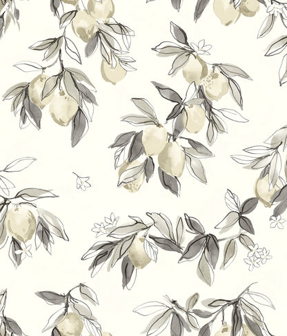 Chesapeake Lemonade Grey Citrus Wallpaper, 20.5-in by 33-ft