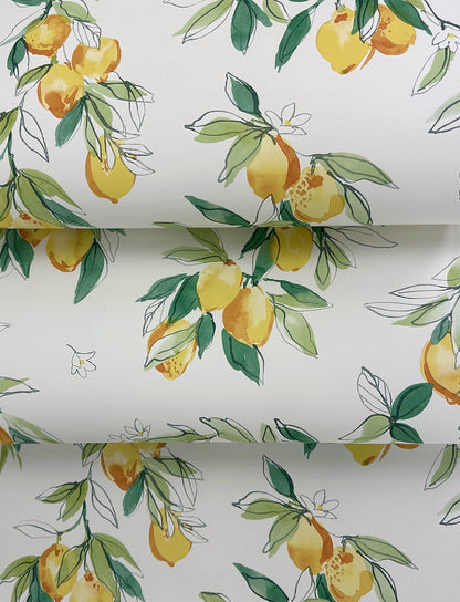 Chesapeake Lemonade Yellow Citrus Wallpaper, 20.5-in by 33-ft