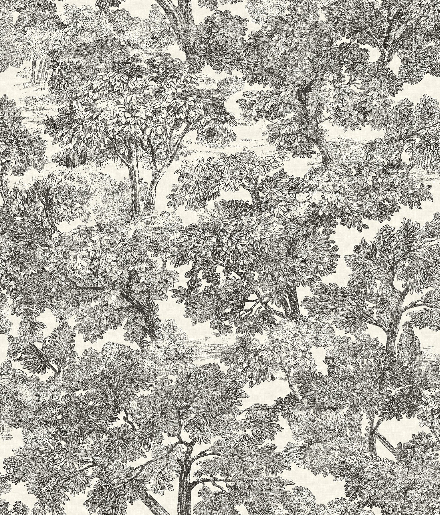 Chesapeake Spinney Black Toile Wallpaper, 20.5-in by 33-ft