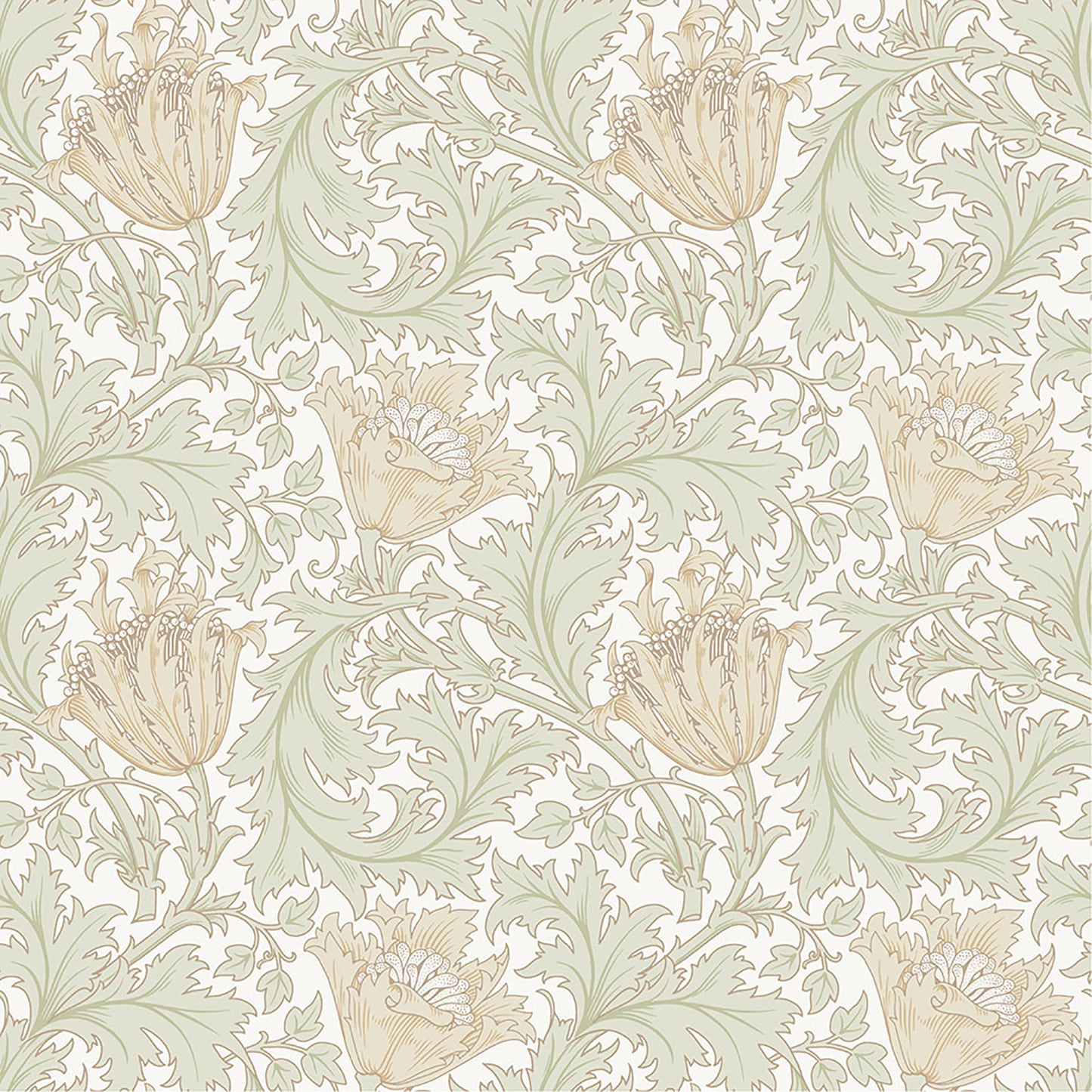 A-Street Prints Anemone Light Green Floral Trail Wallpaper, 20.9-in by 33-ft