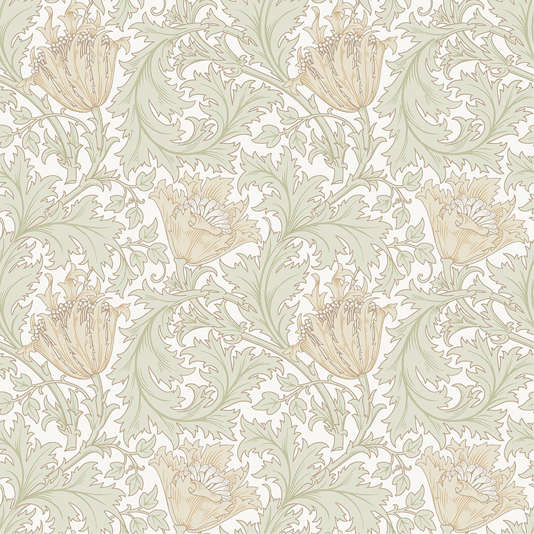 A-Street Prints Anemone Light Green Floral Trail Wallpaper, 20.9-in by 33-ft