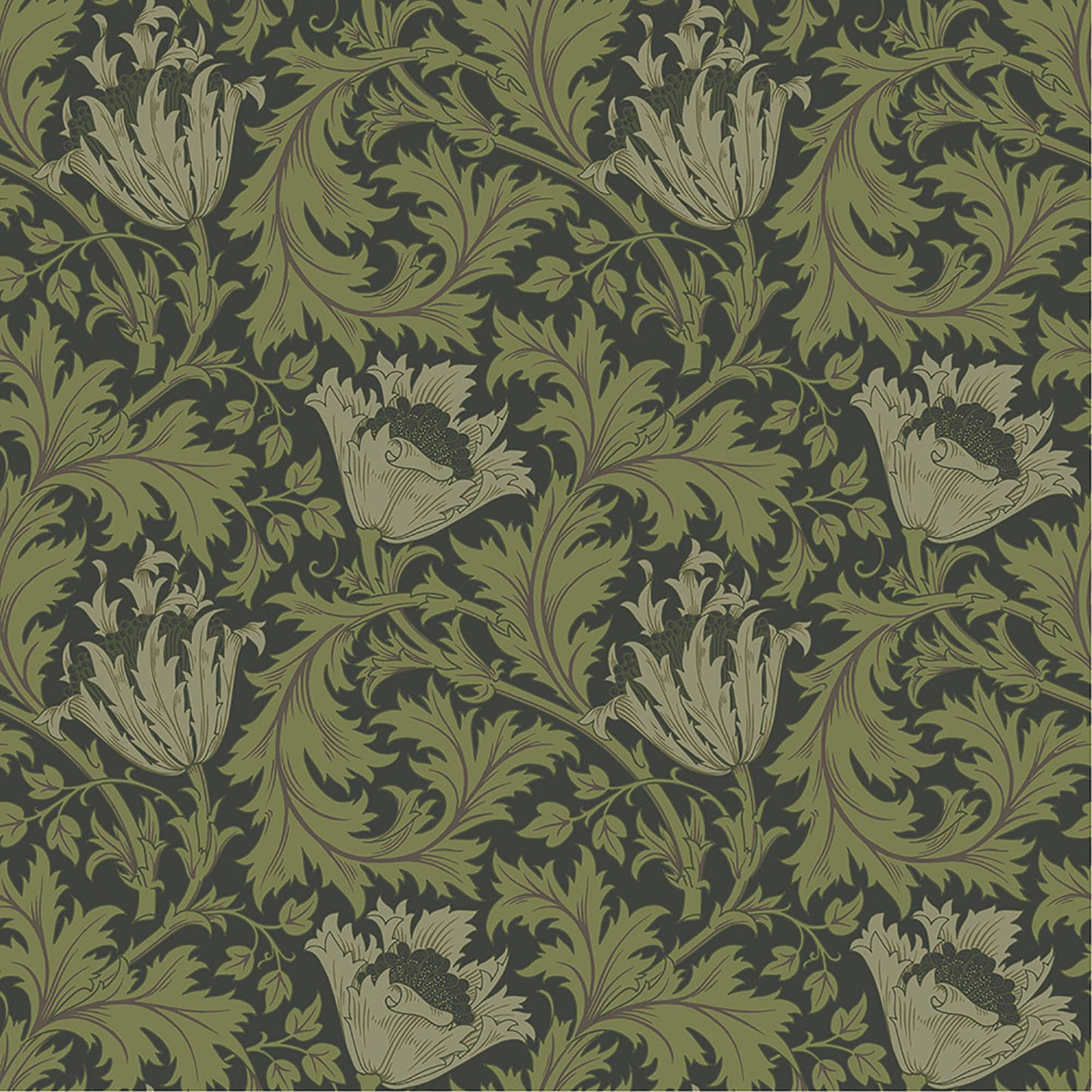 A-Street Prints Anemone Dark Green Floral Trail Wallpaper, 20.9-in by 33-ft