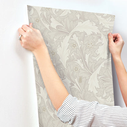 A-Street Prints Granville White Leafy Vine Wallpaper, 20.9-in by 33-ft