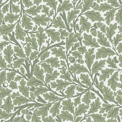 A-Street Prints Oak Tree Green Leaf Wallpaper, 20.9-in by 33-ft