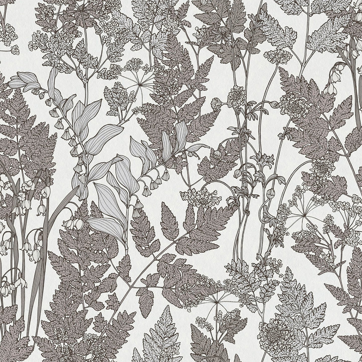 AS Creation Ayla Light Grey Wildflowers Wallpaper, 20.9-in by 33-ft