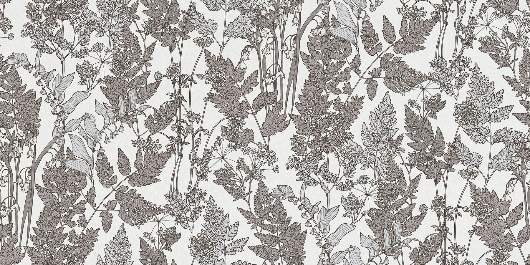 AS Creation Ayla Light Grey Wildflowers Wallpaper, 20.9-in by 33-ft