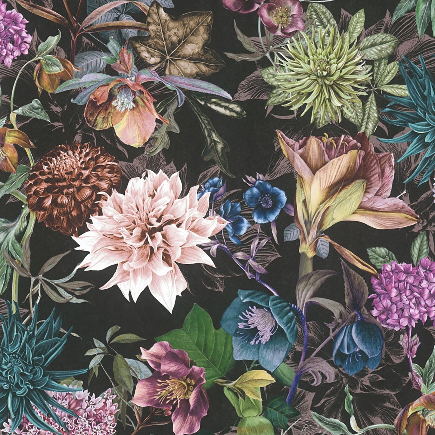 AS Creation Althea Black Flower Garden Wallpaper, 20.9-in by 33-ft