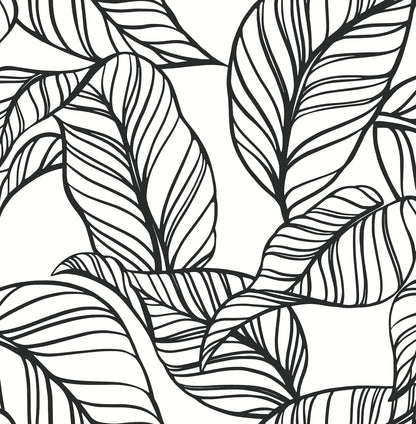 A-Street Prints Kagan Black Large Leaf Wallpaper, 20.5-in by 33-ft