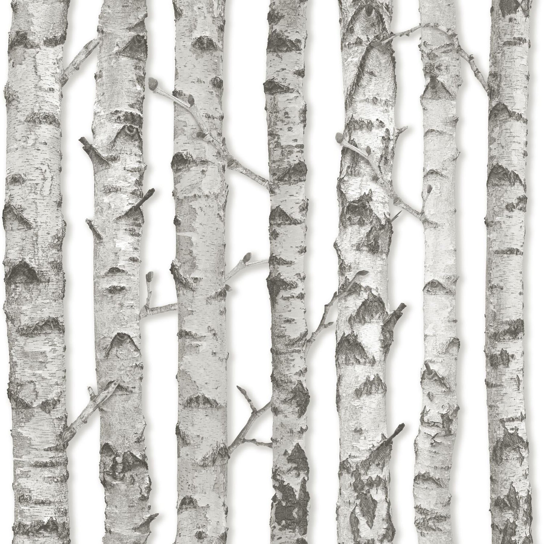 ESTA Home Merman Light Grey Birch Tree Wallpaper, 20.5-in by 33-ft