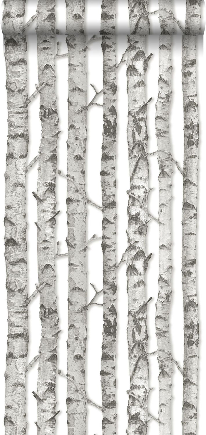 ESTA Home Merman Light Grey Birch Tree Wallpaper, 20.5-in by 33-ft