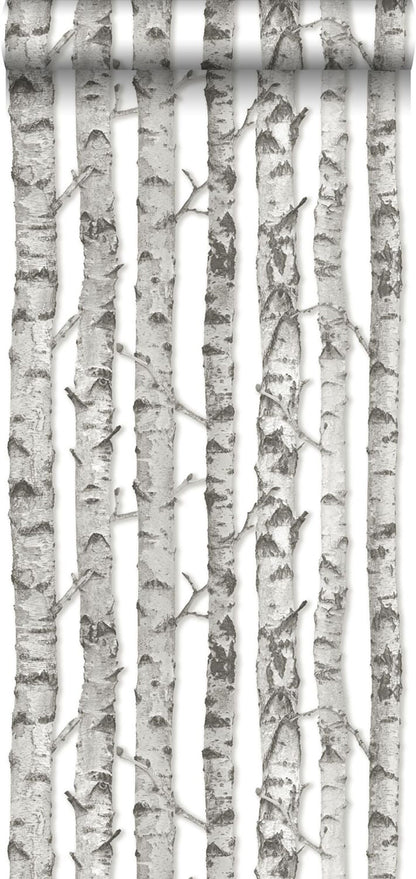 ESTA Home Merman Light Grey Birch Tree Wallpaper, 20.5-in by 33-ft