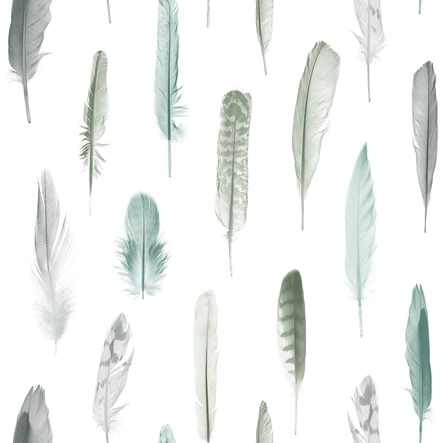 ESTA Home Nala Multicolor Feathers Wallpaper, 20.5-in by 33-ft