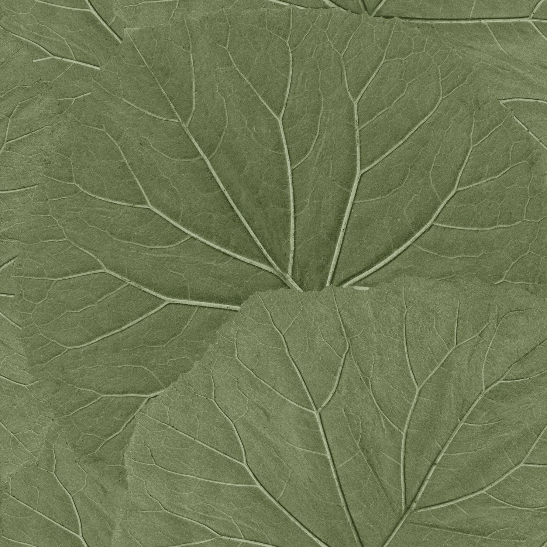 ESTA Home Xylem Olive Large Leaves Wallpaper, 20.9-in by 33-ft