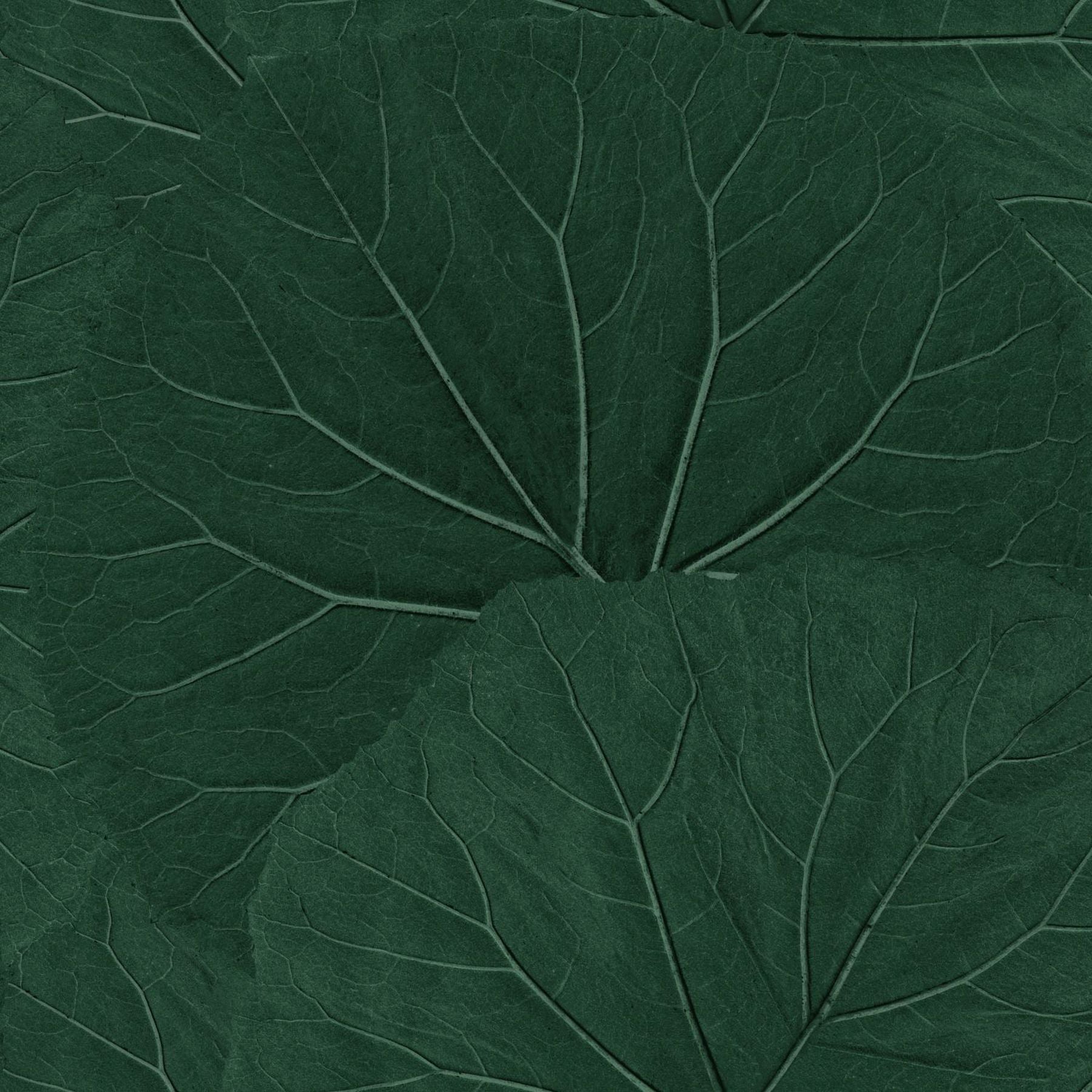 ESTA Home Xylem Evergreen Large Leaves Wallpaper, 20.9-in by 33-ft