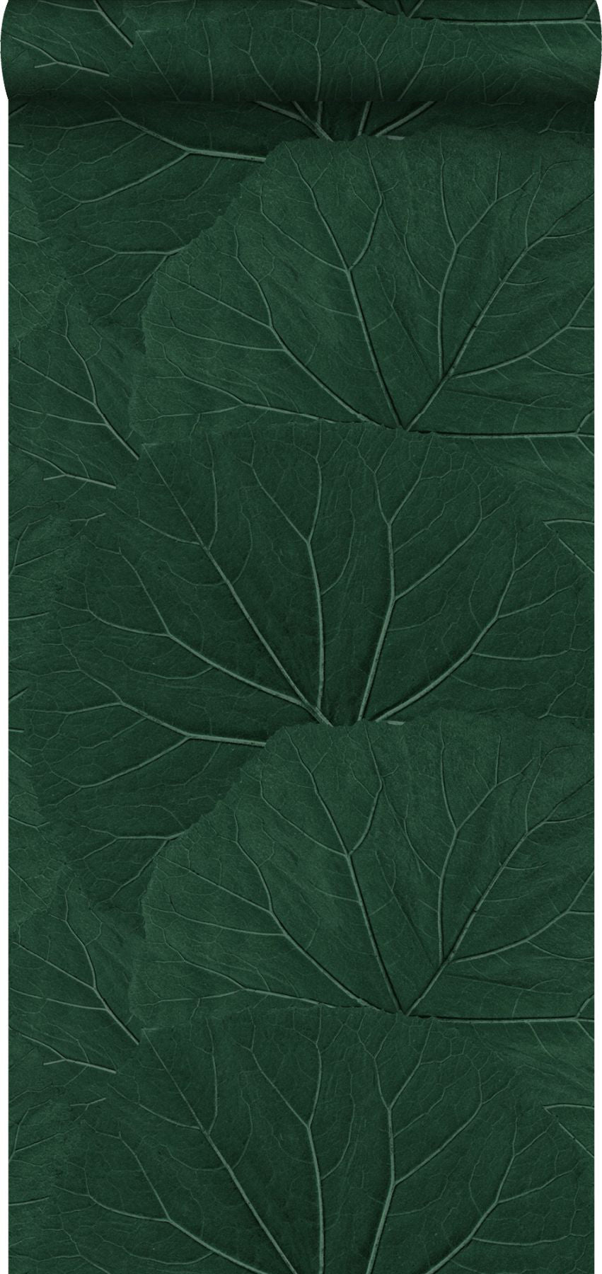 ESTA Home Xylem Evergreen Large Leaves Wallpaper, 20.9-in by 33-ft