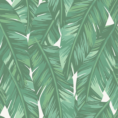 ESTA Home Dumott Green Tropical Leaves Wallpaper, 20.5-in by 33-ft