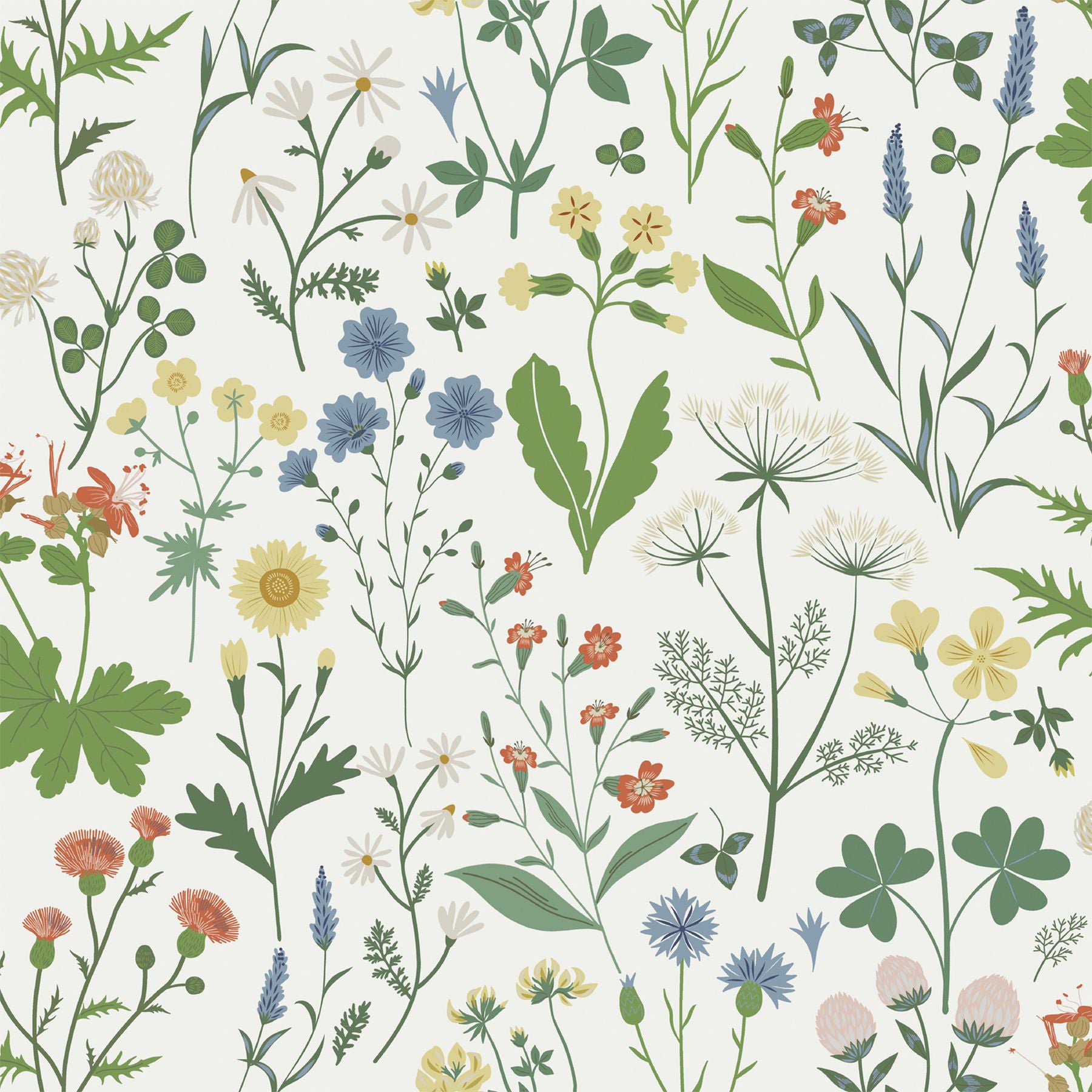 ESTA Home Fiore Green Wildflowers Wallpaper, 20.9-in by 33-ft