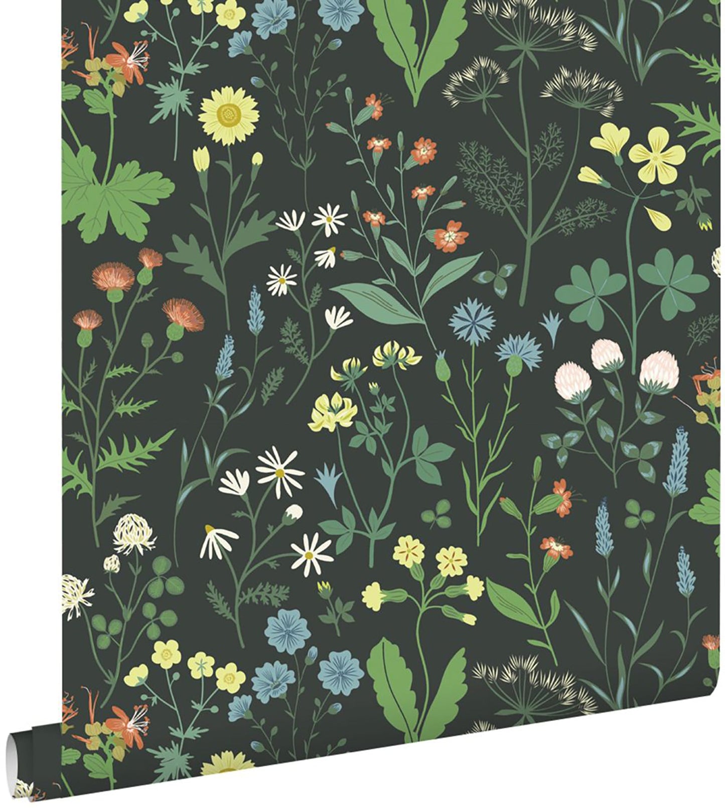 Design Department Letitia Black Summer Meadows Wallpaper, 20.9-in by 33-ft