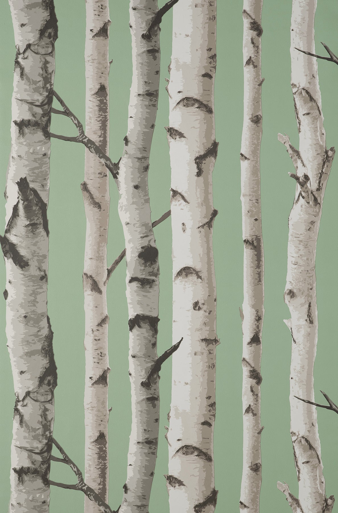 Fine Decor Chester Sage Birch Trees Wallpaper, 20.5-in by 33-ft