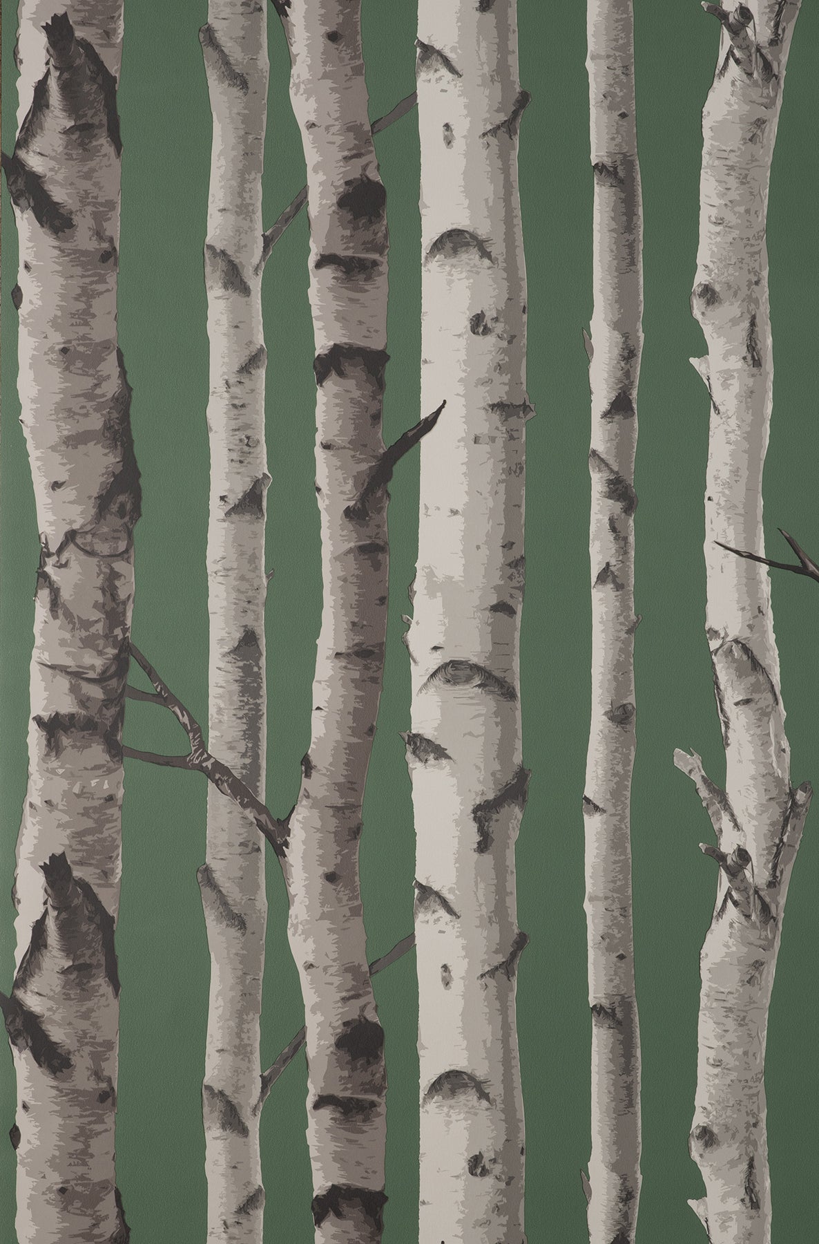 Fine Decor Chester Dark Green Birch Trees Wallpaper, 20.5-in by 33-ft