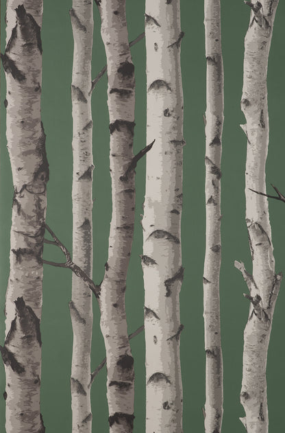 Fine Decor Chester Dark Green Birch Trees Wallpaper, 20.5-in by 33-ft