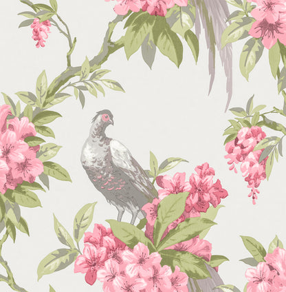 Brewster Golden Pheasant Rose Floral Wallpaper, 20.5-in by 33-ft