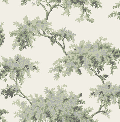 Brewster Ashdown Sage Tree Wallpaper, 20.5-in by 33-ft