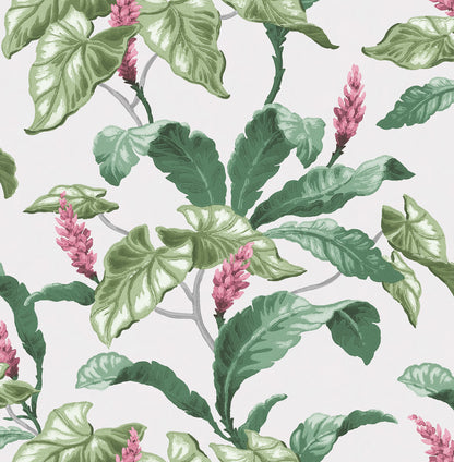 Brewster Meridian Parade Green Tropical Leaves Wallpaper, 20.5-in by 33-ft