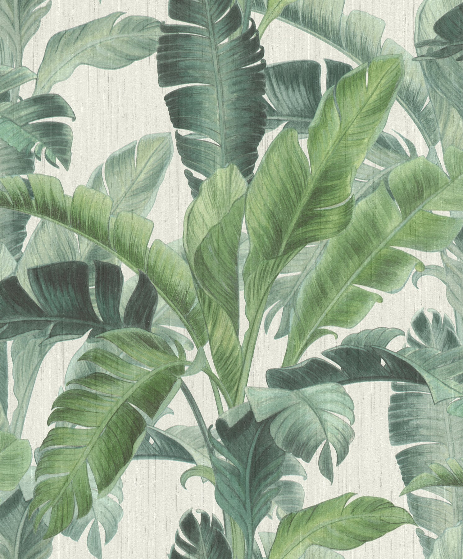 Rasch Orissa Green Palm Frond Wallpaper, 20.5-in by 33-ft