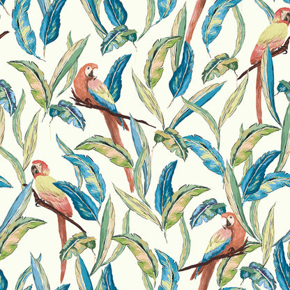 ohpopsi Timor White Tropical Parrot Wallpaper, 19.7-in by 33-ft